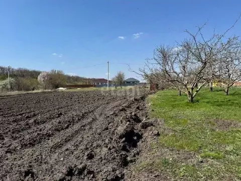 Участок в Белгородская область, Белгородский район, Разумное рп ул. ...