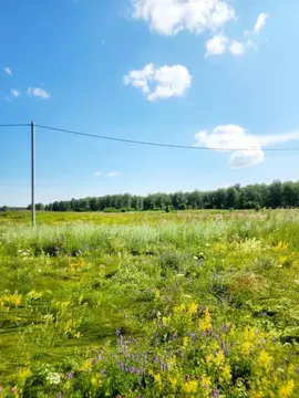 Участок в Свердловская область, Каменский муниципальный округ, д. ...