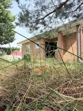 Дом в Татарстан, Лаишевский район, Нармонское с/пос, Солнечный №1 СНТ ...