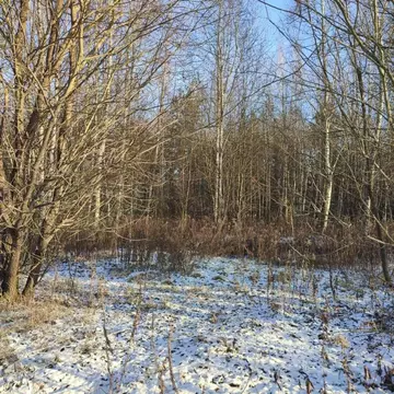 Участок в Московская область, Павлово-Посадский городской округ, д. ...