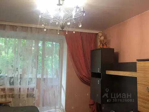 2-к кв. Еврейская автономная область, Биробиджан Набережная ул., 24А ...