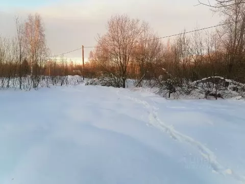 Участок в Новгородская область, Новгородский район, Ермолинское с/пос, ...