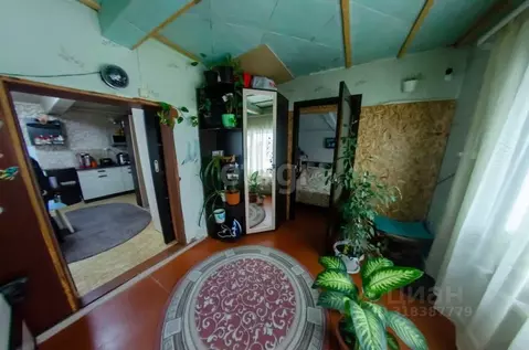 Дом в Курганская область, Шадринский муниципальный округ, с. Канаши ...