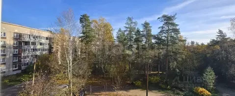 2-к кв. Ленинградская область, Приозерский район, Ромашкинское с/пос, ...