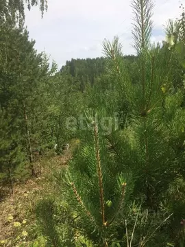 Участок в Свердловская область, Сысертский муниципальный округ, Исеть ...