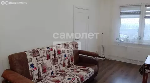 1-комнатная квартира: Санкт-Петербург, Муринская дорога, 11к1 (33.2 м)