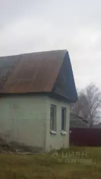 Дом в Пензенская область, Лунинский район, с. Большой Вьяс  (109 м)