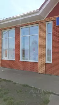 Помещение свободного назначения в Челябинская область, Касли ул. ...