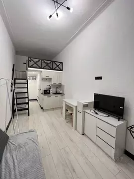 Студия Санкт-Петербург Боровая ул., 11-13 (20.0 м)