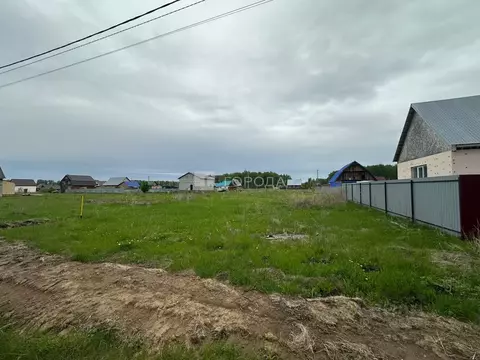 Участок в Новосибирская область, Коченево рп 10-я линия, 15 (10.0 ...