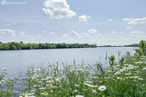 Участок в Московская область, 46К-5480 (7.43 м)