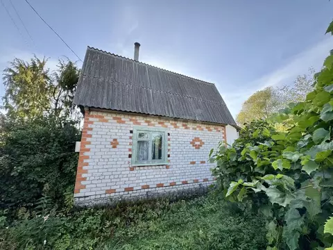 Дом в Брянская область, Брянск Большое Полпино пгт, пос. Снежка,  (52 ...