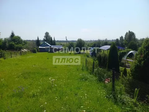 Участок в Вологодская область, д. Старое (Старосельский сельсовет) 31 ...