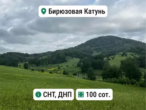 Участок в Алтай, Майминский район, с. Манжерок Ленинская ул. (100.0 ...