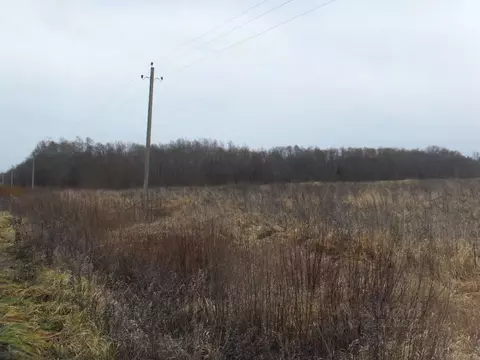 Участок в Хакасия, Усть-Абаканский район, с. Солнечное  (15.0 сот.)