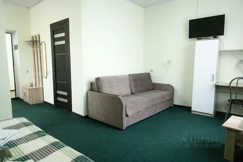 Комната Камчатский край, Быстринский муниципальный округ, с. Эссо ул. ...