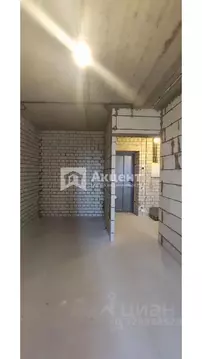 1-к кв. Ивановская область, Иваново ул. Павла Большевикова, 50к6 (35.2 ...