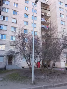 Комната Санкт-Петербург ул. Брянцева, 17 (24.2 м)