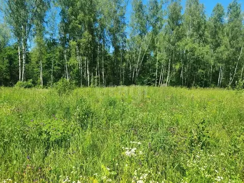 Участок в Московская область, Серпухов городской округ, Малинки Лайф ...