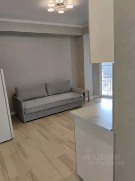 1-к кв. Краснодарский край, Сочи ул. Демократическая, 45 (33.0 м)