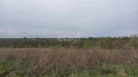 Участок в Белгородская область, Белгородский район, Ериковское с/пос, ...