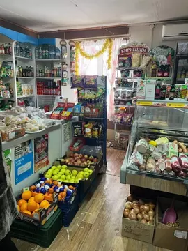 Помещение свободного назначения в Рязанская область, Сасовский ...