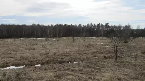 Участок в Московская область, Рузский муниципальный округ, д. Орешки  ...