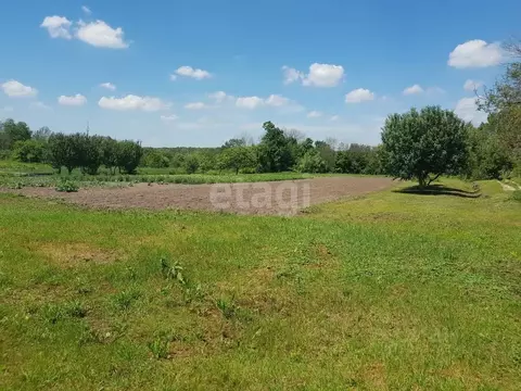 Участок в Воронежская область, Рамонский район, Карачунское с/пос, с. ...