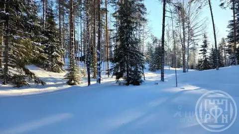 Участок в Ленинградская область, Всеволожский район, Куйвозовское ...