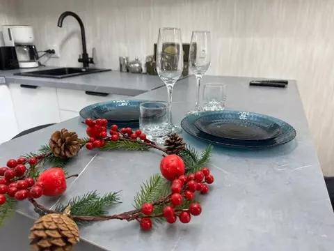 Студия Пермский край, Пермь ул. Малкова, 12 (25.0 м)