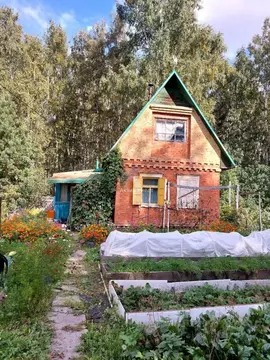 Дом в Омская область, Омск СОСН Мир тер.,  (25 м)