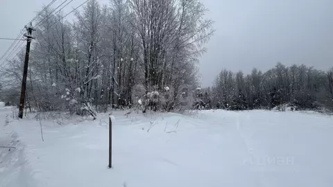 Участок в Ленинградская область, Киришский район, Будогощское ...
