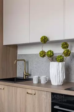 Студия Москва Причальный проезд, 10к1 (23.0 м)