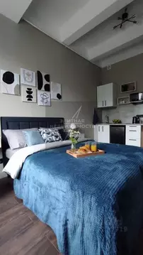 Студия Москва Ленинградский просп., 80к66 (18.7 м)