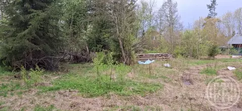 Участок в Ленинградская область, Луга просп. Володарского (12.0 сот.)