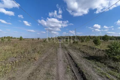 Участок в Тюменская область, Тюменский муниципальный округ, д. Елань  ...