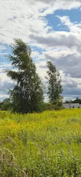 Участок в Калининградская область, Гурьевский муниципальный округ, ...