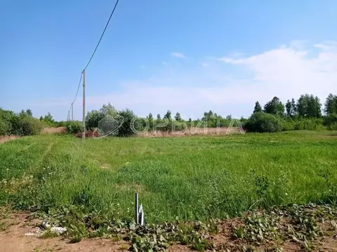 Участок в Тюменская область, Тюмень Садовое товарищество Липовый ...