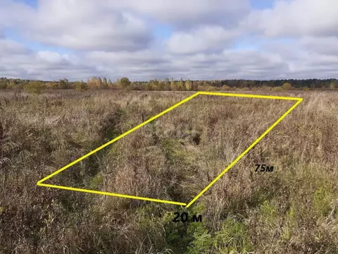 Участок в Брянская область, Брянский район, с. Журиничи Партизанская ...