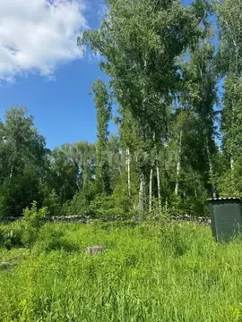 Участок в Новосибирская область, Новосибирский район, Барышевский ...