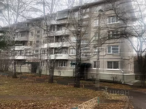 1-к кв. Красноярский край, Красноярск ул. Академгородок, 10 (30.5 м)