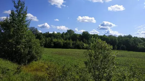Участок в Ярославская область, Рыбинский муниципальный округ, д. ...