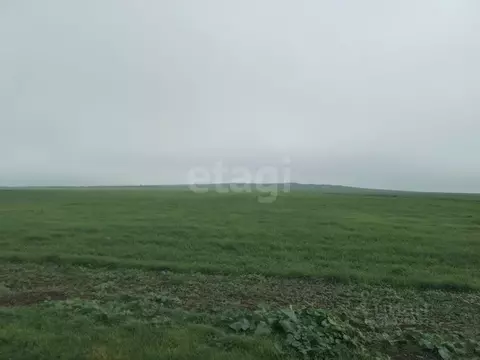 Участок в Крым, Ленинский район, Семисотское с/пос, с. Каменское ул. ...