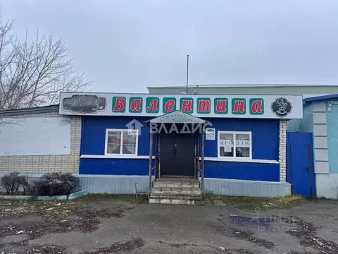 Помещение свободного назначения в Пензенская область, Шемышейка пгт ...