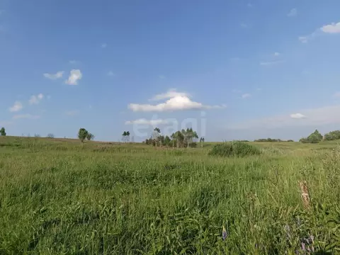 Участок в Смоленская область, Смоленский муниципальный округ, д. ...