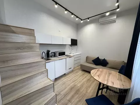 Студия Татарстан, Казань Профессора Камая ул., 10к2 (27.0 м)