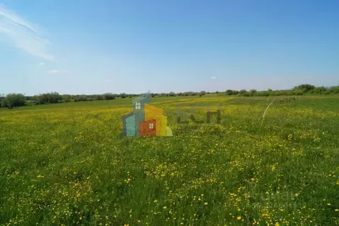 Участок в Московская область, Можайский муниципальный округ, д. ...