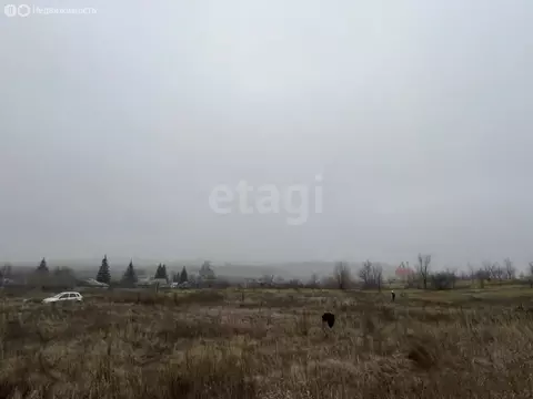 Участок в Усть-Курдюм, Новая улица, 29 (15 м)