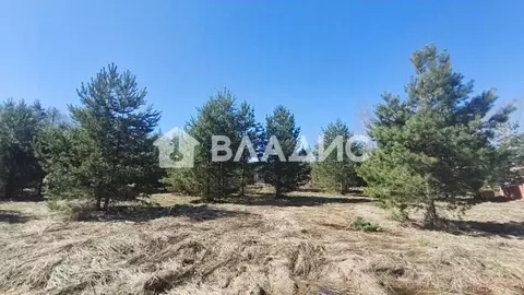 Участок в Владимирская область, Владимир д. Никулино, ул. Извилистая ...