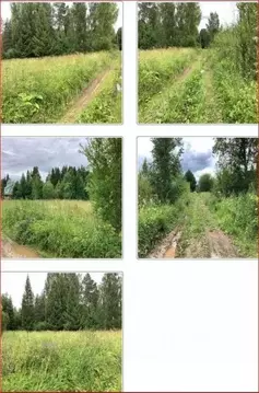 Участок в Ленинградская область, Киришский район, Пчевжинское с/пос, ...